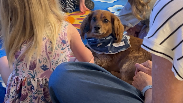 A Dog's Purpose : PUP Program brings support to students in Effingham County