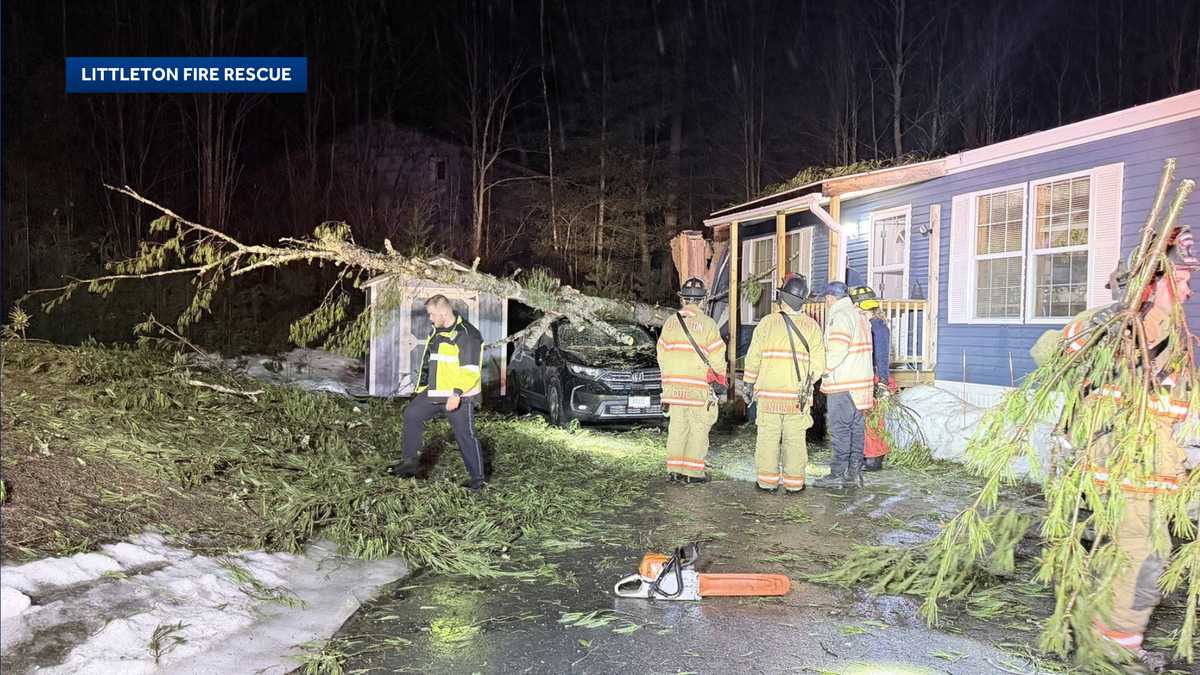 No injuries reported when tree falls on home, car in Littleton, NH
