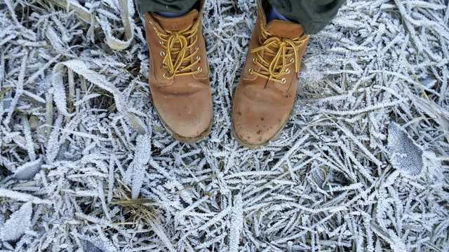 South Carolina: Weather Oct. 13