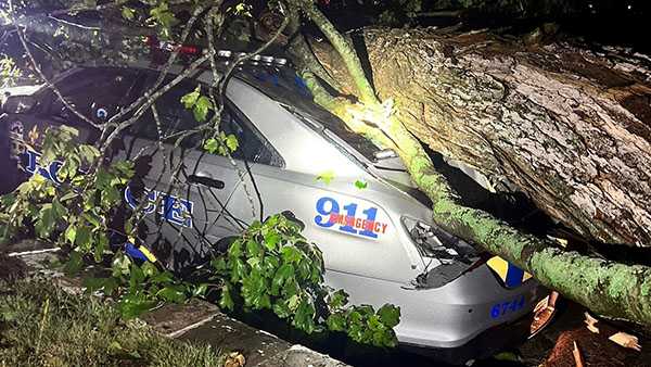 LMPD officer injured after tree falls on cruiser in Highview - Vimarsana News