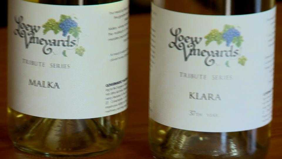 Westminster to host 38th annual Maryland Wine Festival - Vimarsana News