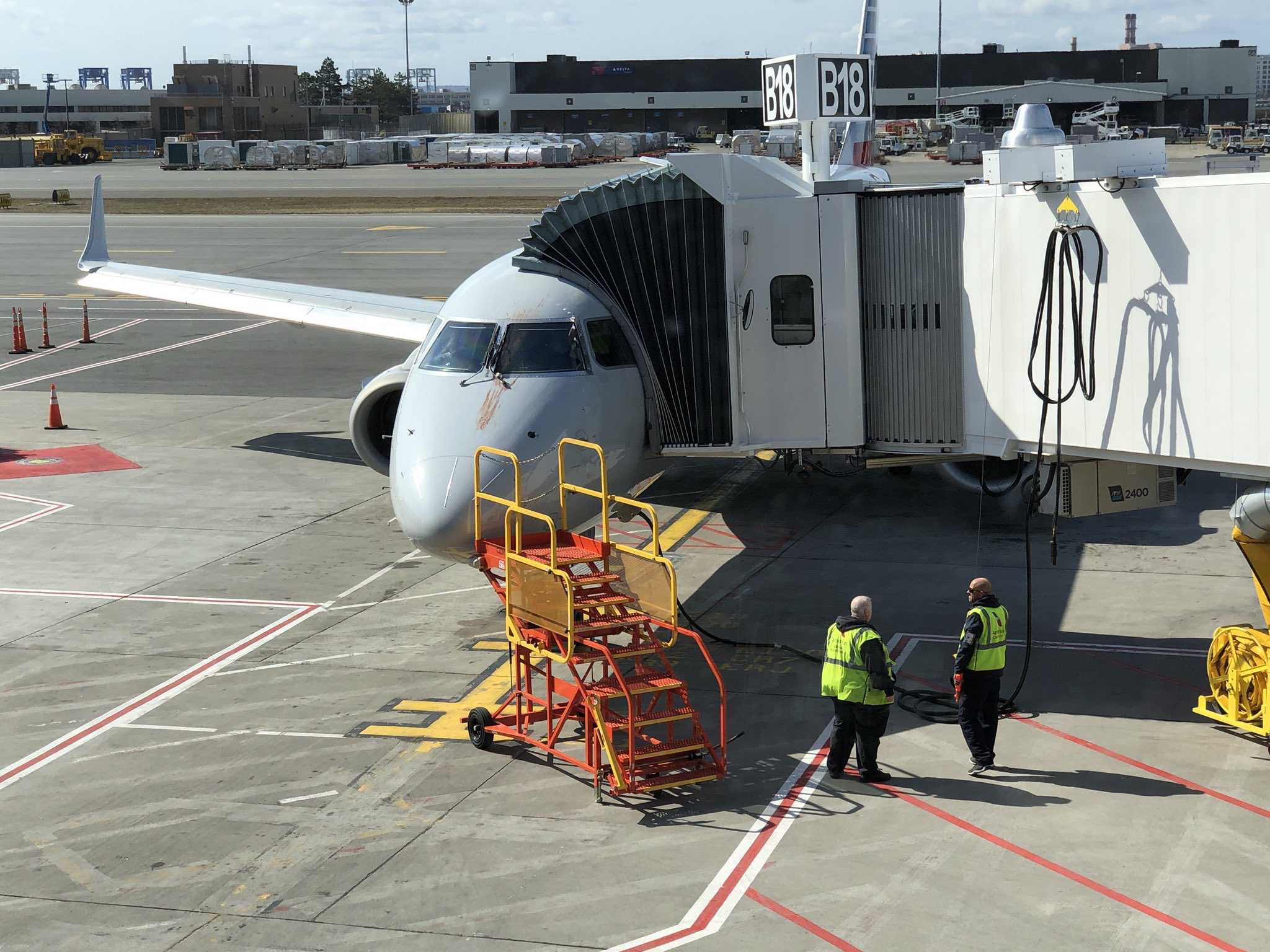 American Airlines Plane Experiences Bird Strike After Taking Off From ...