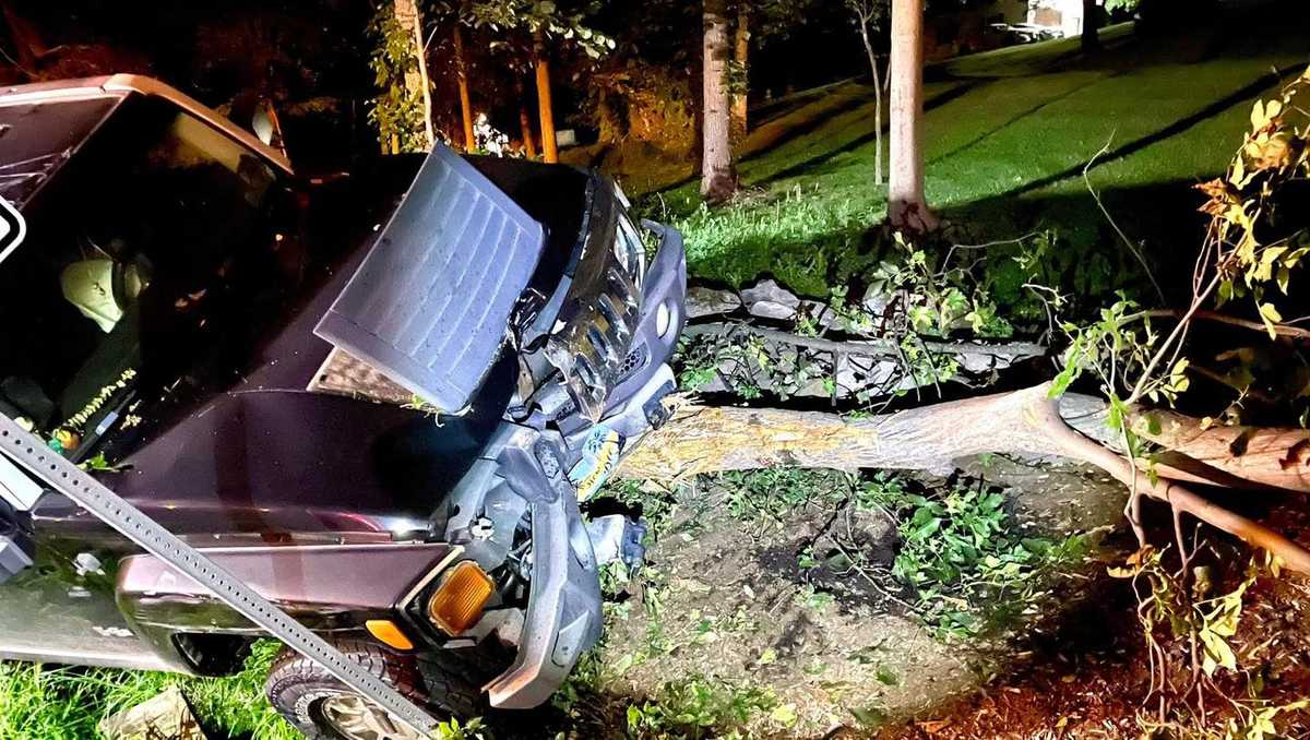 Person taken to hospital after vehicle runs over tree in Dauphin County ...