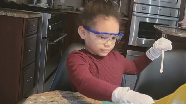 6-year-old New Jersey girl one of the youngest members of Mensa - Vimarsana News