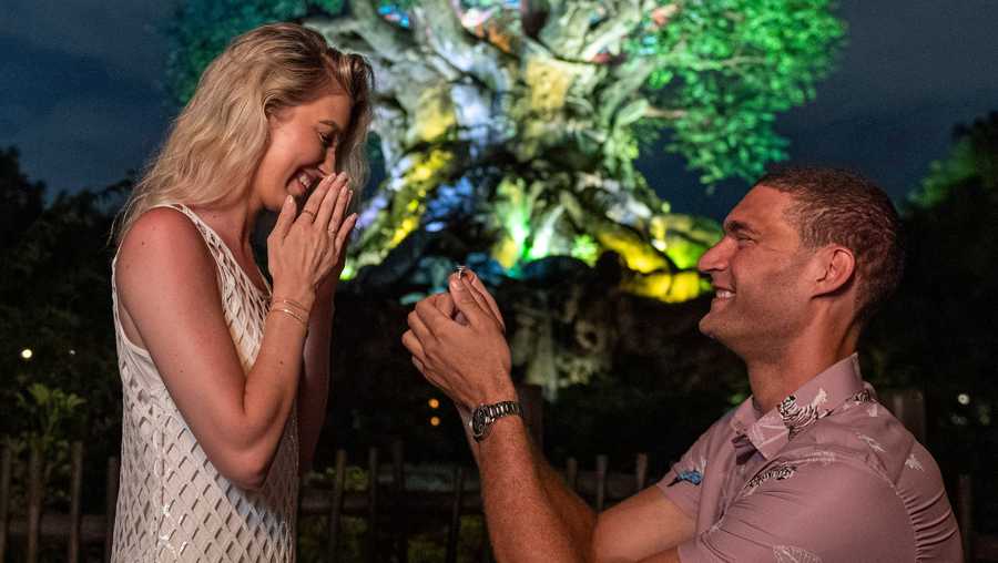 NBA star Brook Lopez proposes to his longtime girlfriend, Hailee Nicole Strickland in front of the Tree of Life at Disney's Animal Kingdom Theme Park in Lake Buena Vista, Fla. The magical moment happened on August 15, 2022, exactly 13 years after the couple met at Disney's Animal Kingdom. (David Roark, photographer)