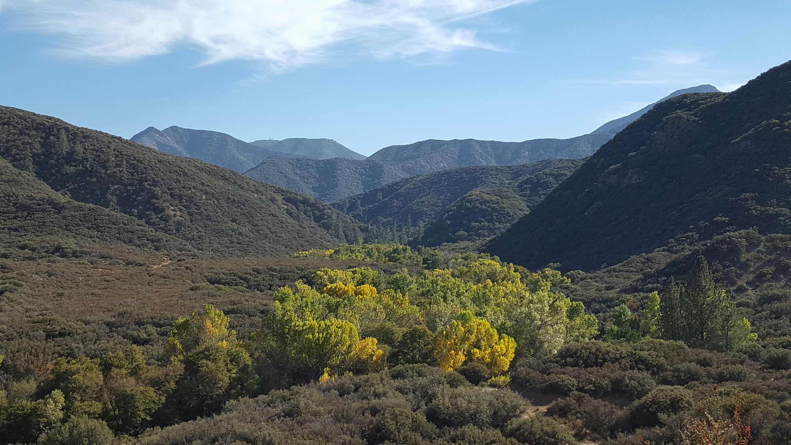 are dogs allowed in los padres national forest