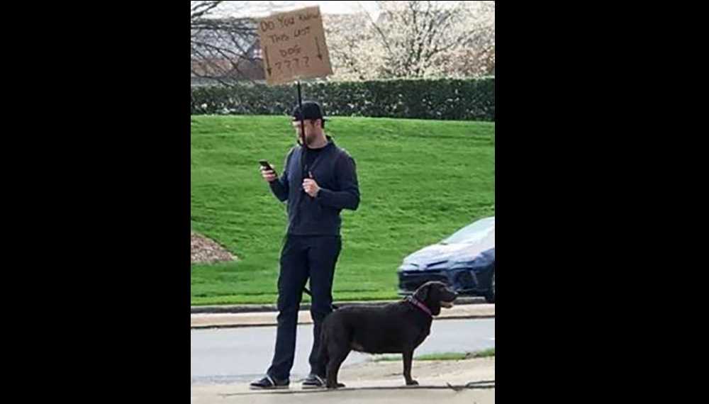 lost dogs reunited with owners