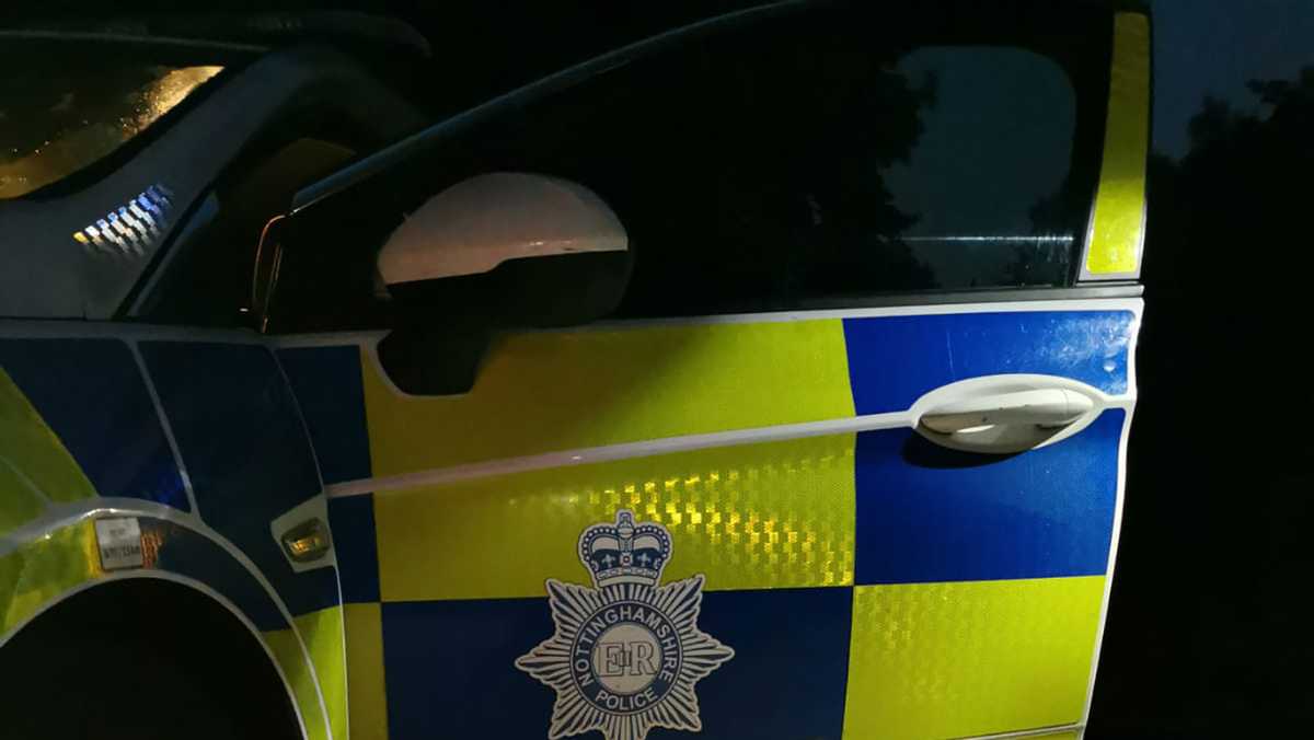 Police pick up penguin found waddling along rural English road