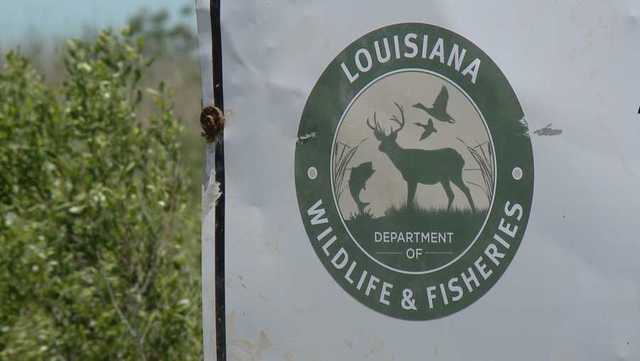 Louisiana Department of Wildlife and Fisheries cite three men in Terrebonne Parish 