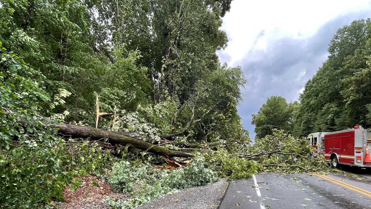 Piedmont Triad storms cause power outages and damage