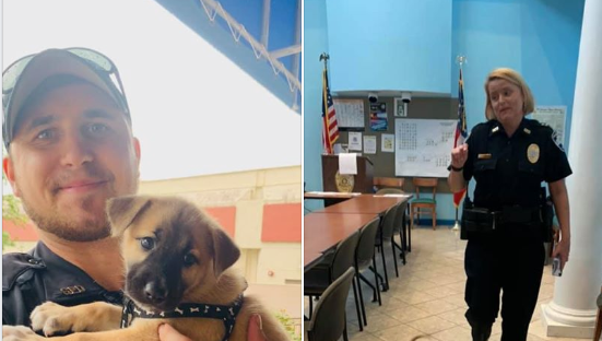 Savannah puppy abandoned before Hurricane Dorian finds new home with police