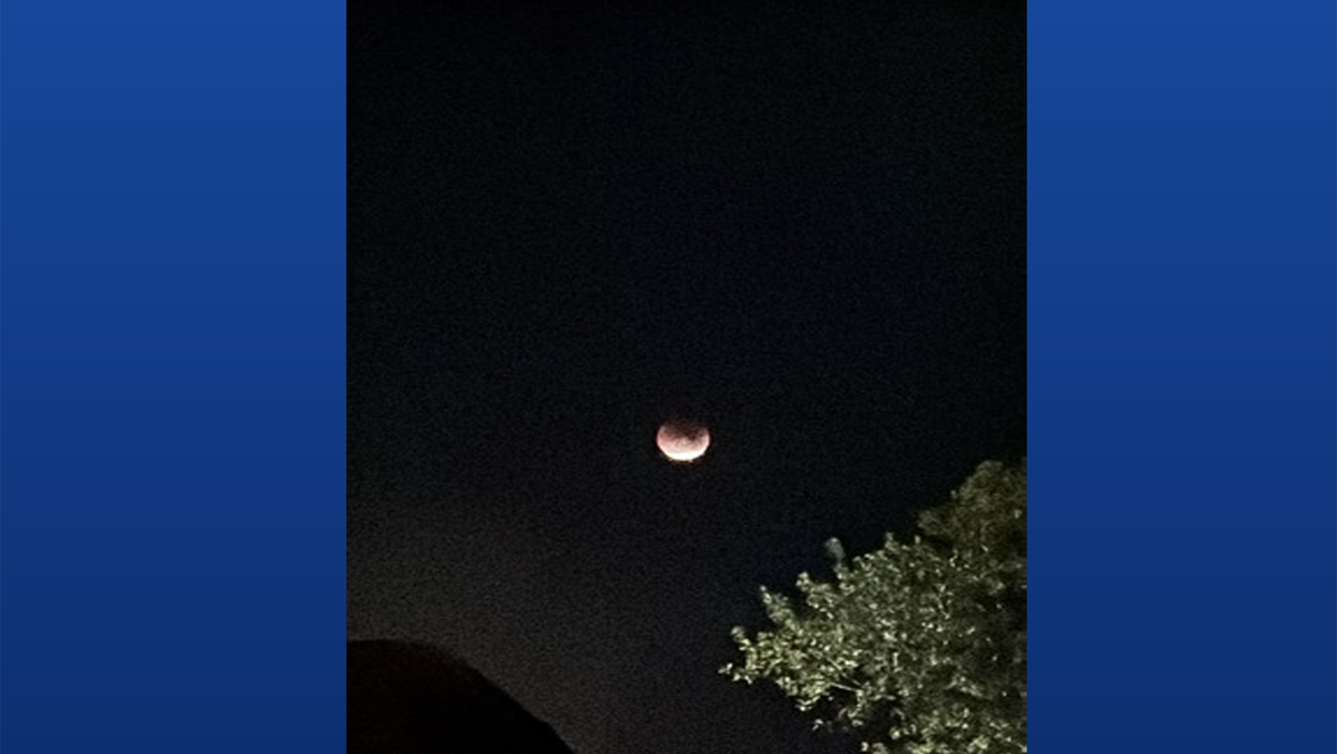 Photo Gallery: Total Lunar Eclipse over South Florida | March 3, 2026