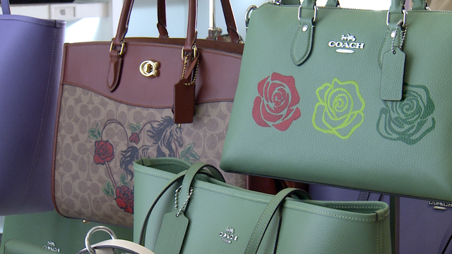 Luxury brand teams up with Louisville artist for Kentucky Derby bag painting event - Vimarsana News