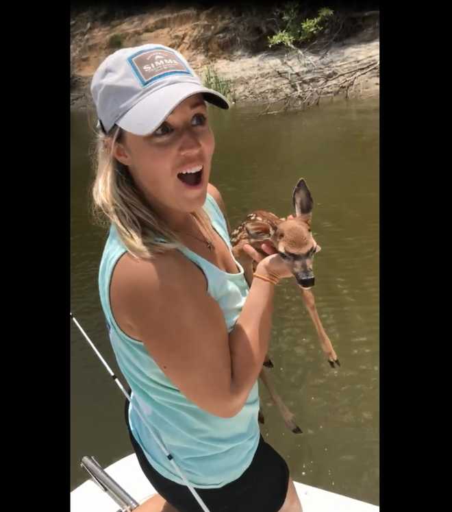 Lowcountry woman makes friends with fawn while fishing near St. Helena