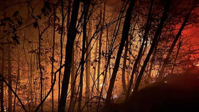 Fire crews working to put out wildfire in Alabama - Vimarsana News