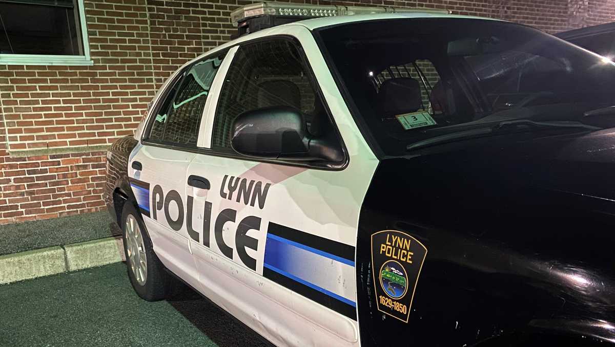 Dog Owner Cited After North Shore Park Attack Injures Boy, Woman