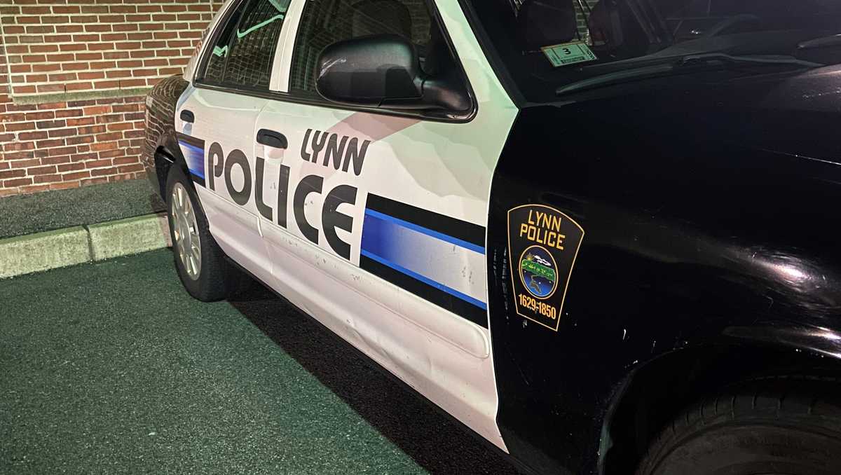 Dog Owner Cited After North Shore Park Attack Injures Boy, Woman