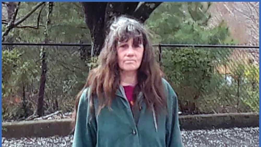 Greenville County Woman Reported Missing Since Wednesday Found Safe