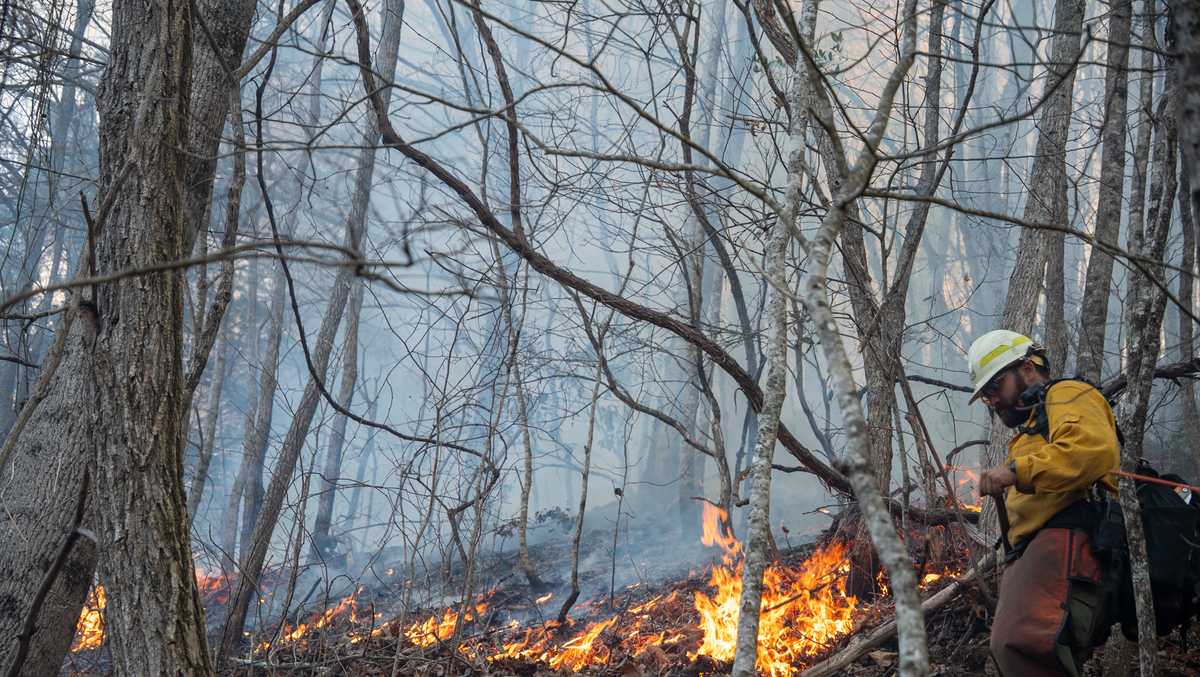U.S. Forest Service to conduct 684-acre prescribed burn in Western North Carolina