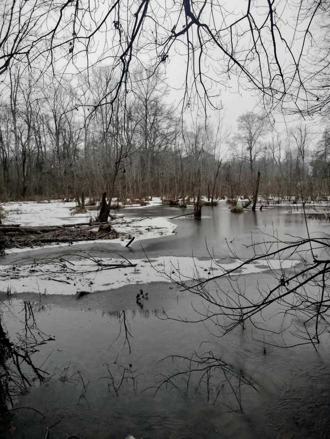 Nieve en Taylor