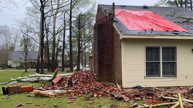 Madison County woman takes shelter right before storm brings tree down on home - Vimarsana News