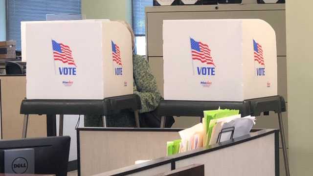 Voter integrity hot-button issue going into Tuesday's election - Vimarsana News