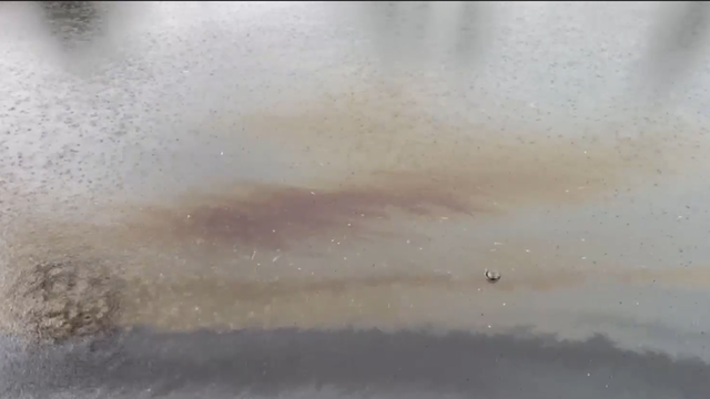 Officials investigating fuel spill in North Fort Myers canal - Vimarsana News