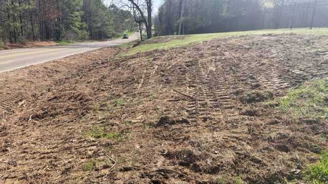 Price tag exceeds $900K to take down trees in Madison damaged by southern pine beetle - Vimarsana News