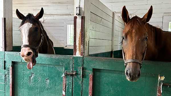 Prospect horse farm modeling tours after Bourbon Trail - Vimarsana News