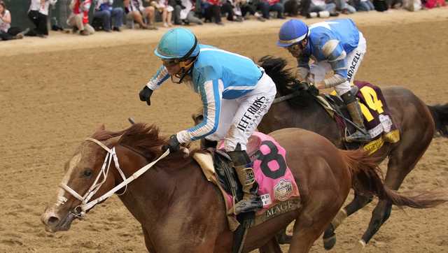 Kentucky Derby winner Mage racing to raise cancer awareness - Vimarsana News