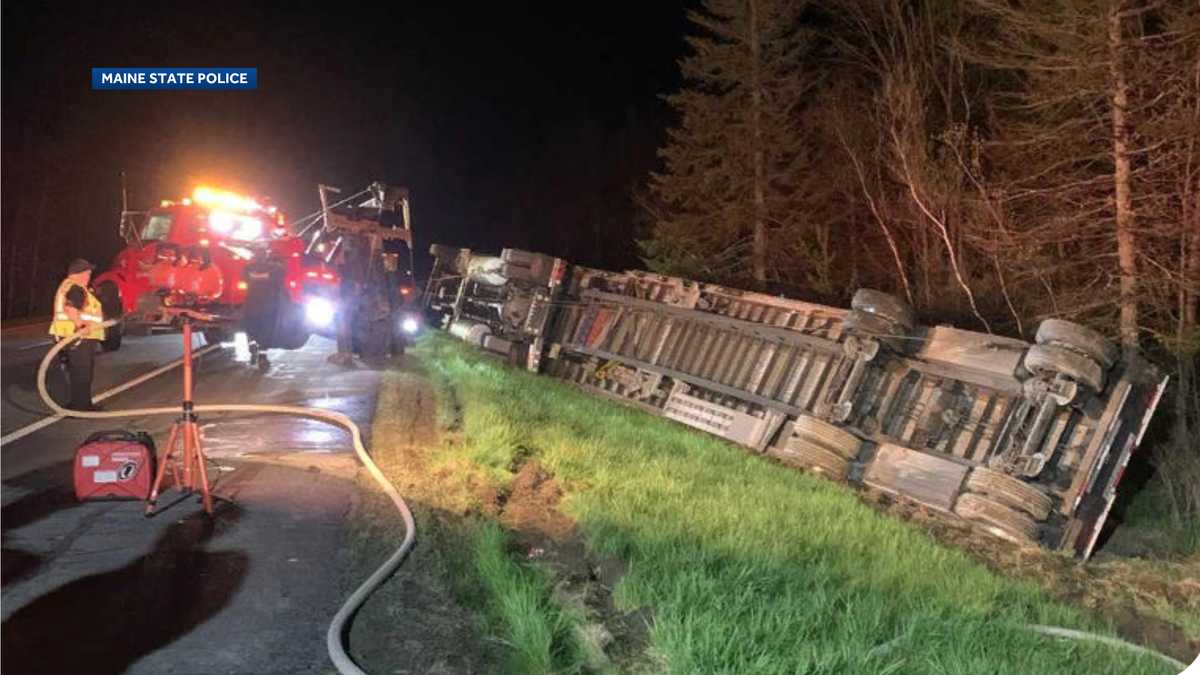 Truck carrying 15 million bees crashes on I-95 in Clinton, Maine – WMUR Manchester