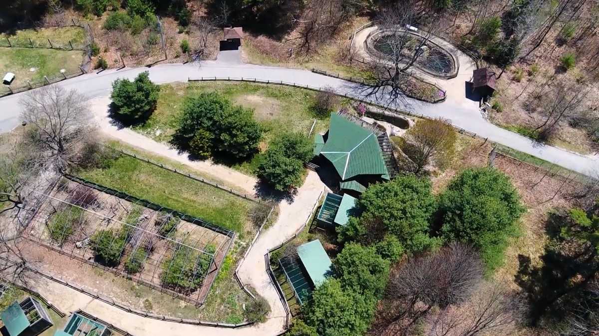 Maine Wildlife Park offers live virtual field trips