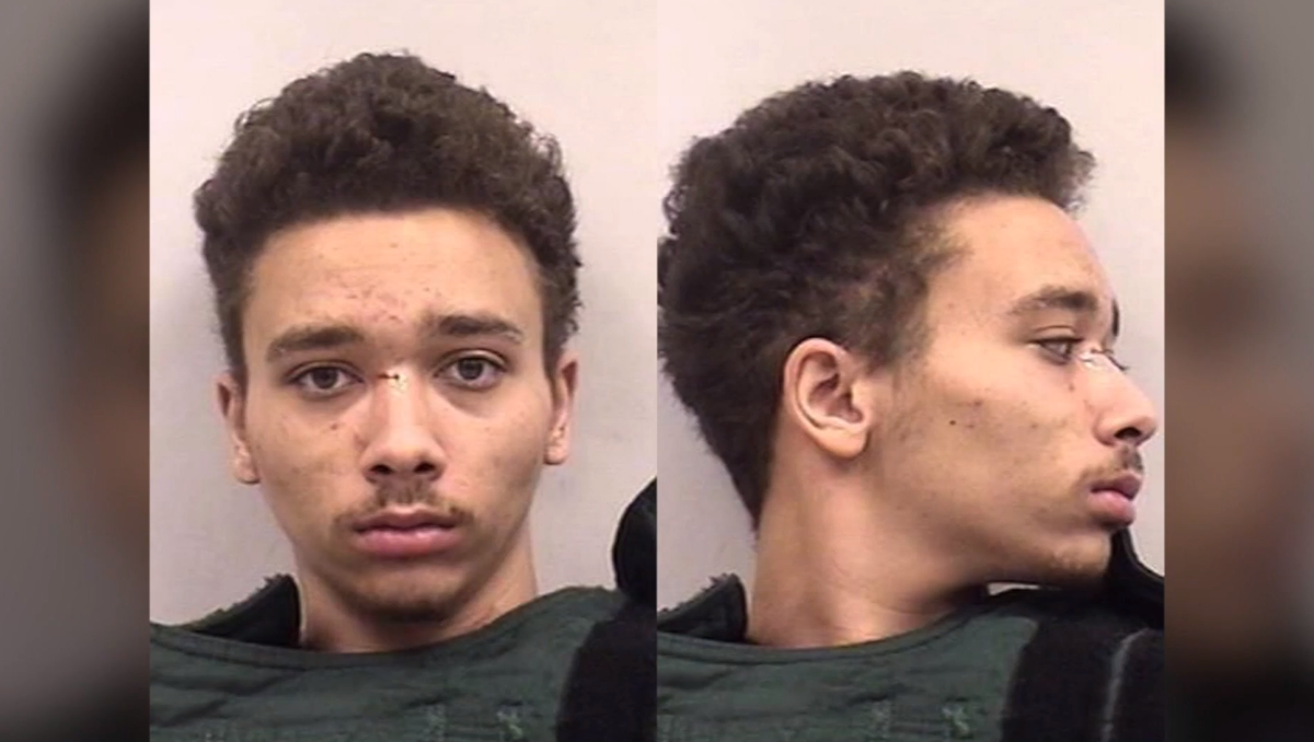 Police Teen killed siblings, ages 5 and 7, to be
