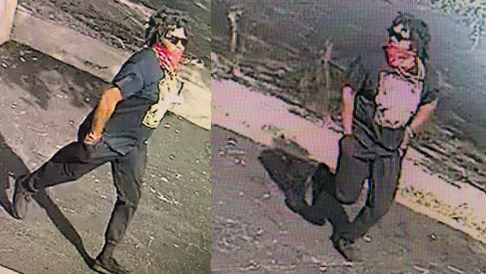 Savannah: Police search for suspect in Oglethorpe Mall shooting