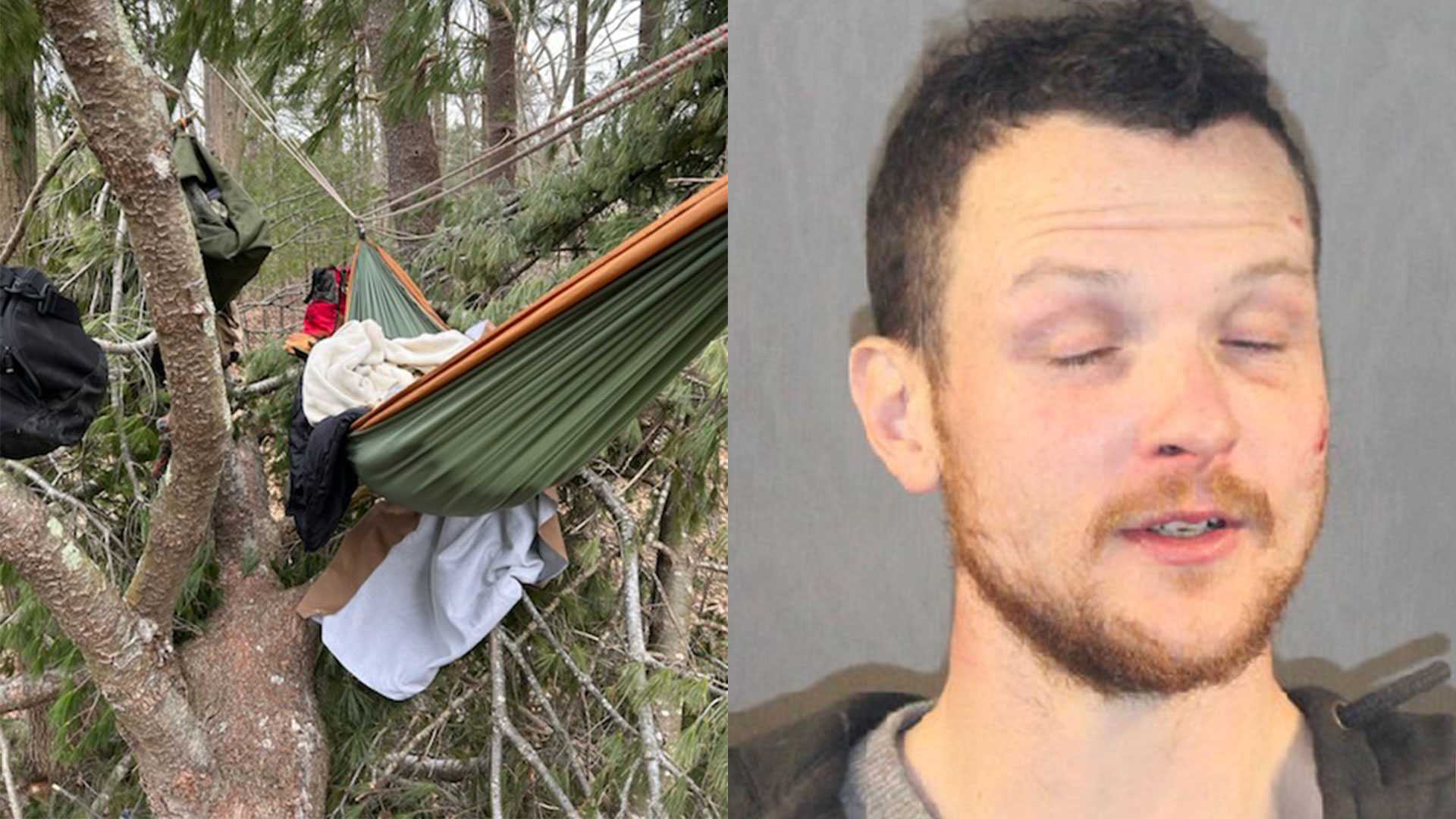 Mass. school put in lockdown while police arrest man who was camping in tree nearby - Vimarsana News
