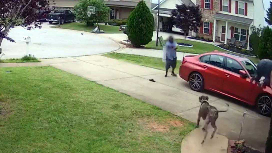 South Carolina: Video shows man shooting dog in neighborhood