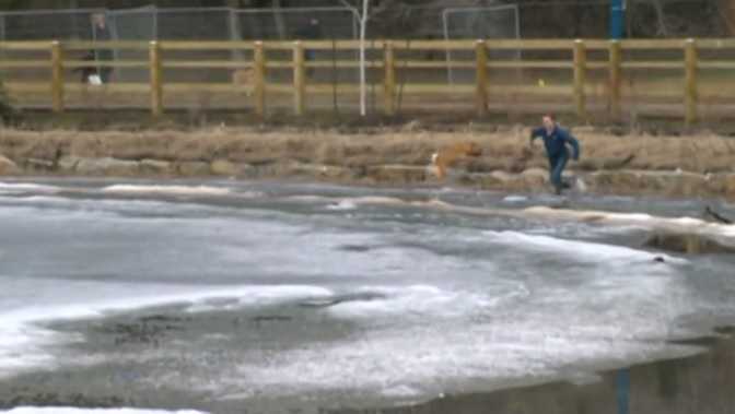 Caught on camera: Man jumps into icy pond to save his dog