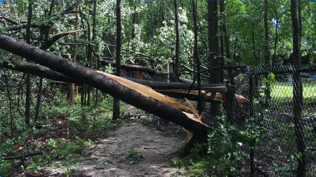 Severe storms cause damage across southern New Hampshire