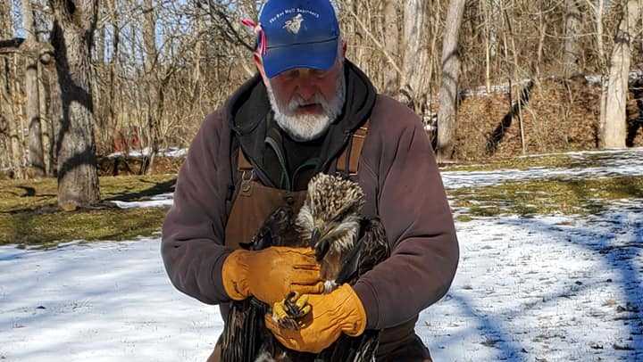 Eagle rescued in Manchester Township