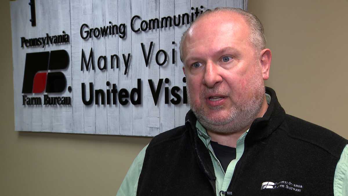 Pennsylvania faces worst avian flu since the 1980s