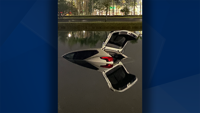 Woman escapes sinking car after crashing into Cape Coral pond - Vimarsana News