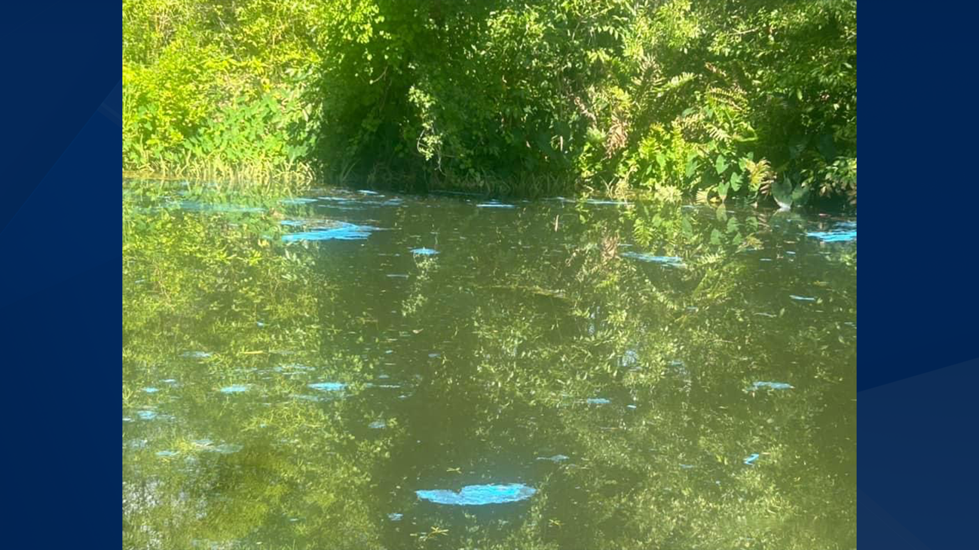 Residents alarmed as blue paint contaminates Orange River - Vimarsana News