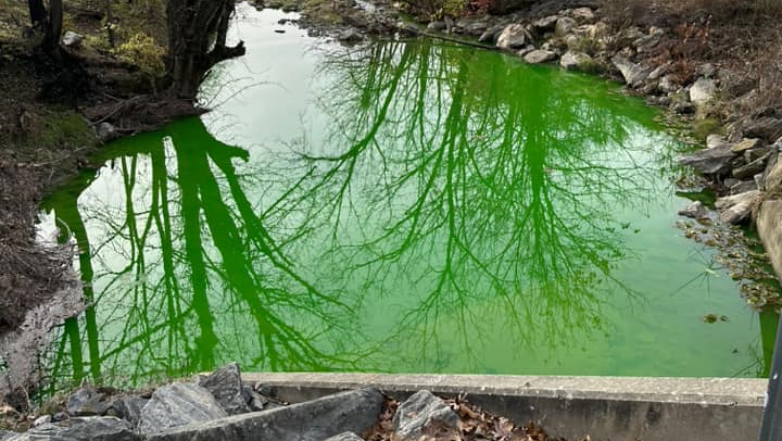 Source of green color in Little Conestoga identified