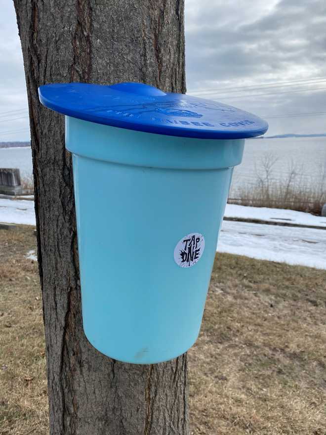 Volunteer group offers up maple syrupmaking knowledge to neighbors