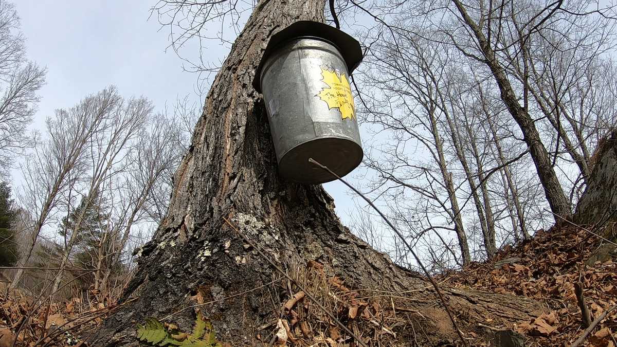 Friday, March 27th Celebrating the Maple Sugar Season