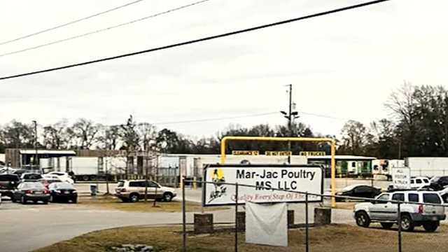 A Mississippi poultry plant is being sued by a woman whose 16-year-old son died working there - Vimarsana News