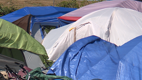City of Portland clears homeless encampment - Vimarsana News