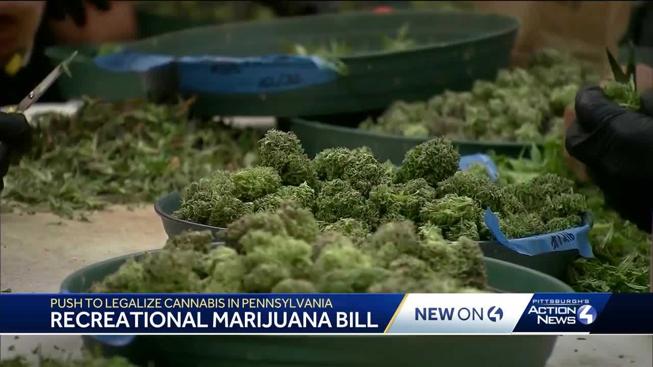 Bill To Legalize Marijuana In Pennsylvania Announced