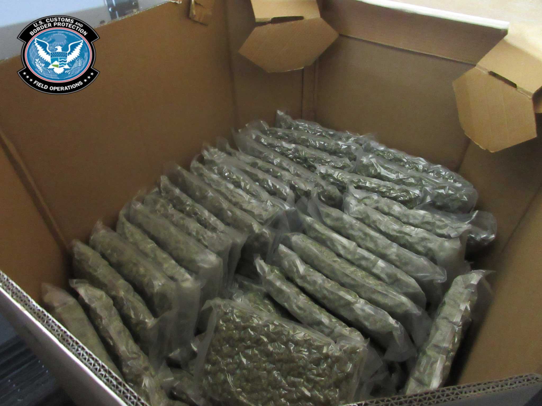 More Than 1,500 Pounds Of Marijuana Seized At Champlain Border Crossing