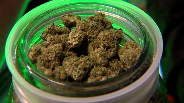Future of recreational marijuana: What's ahead for Pennsylvania? - Vimarsana News